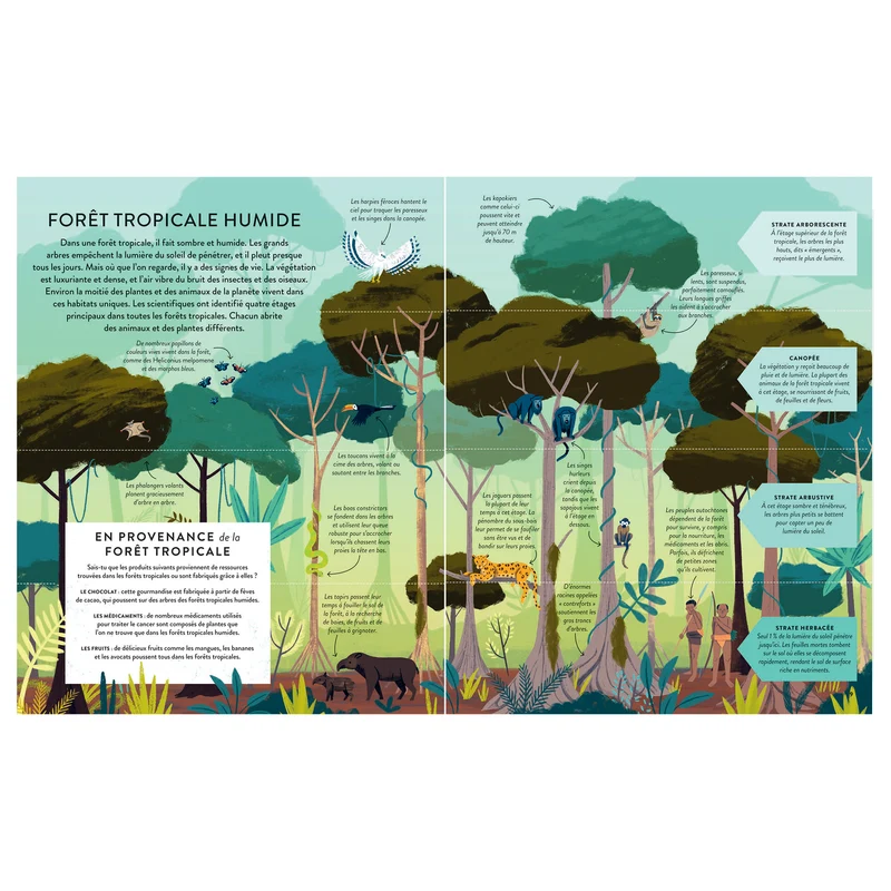 Les forêts, un trésor à préserver -Kimane