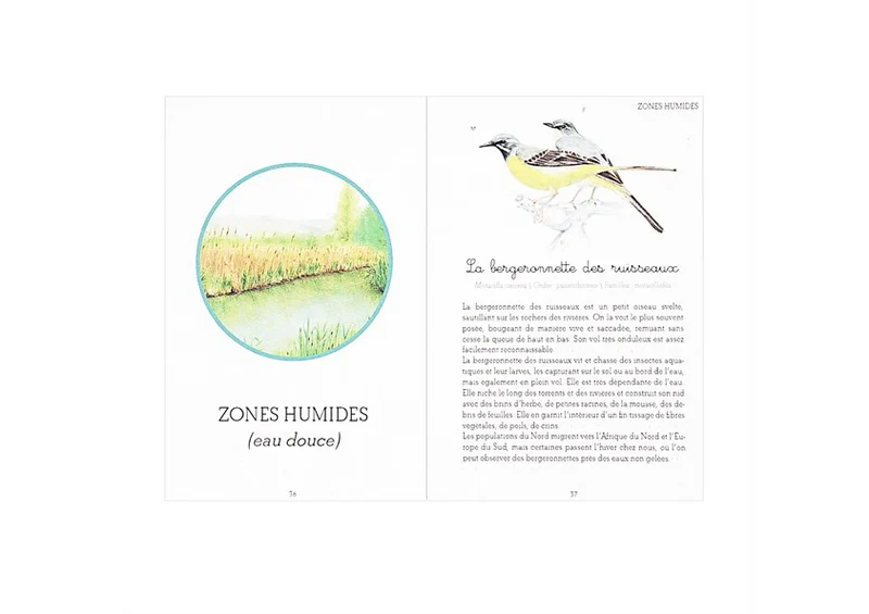 Mon coffret Montessori des oiseaux -Nathan