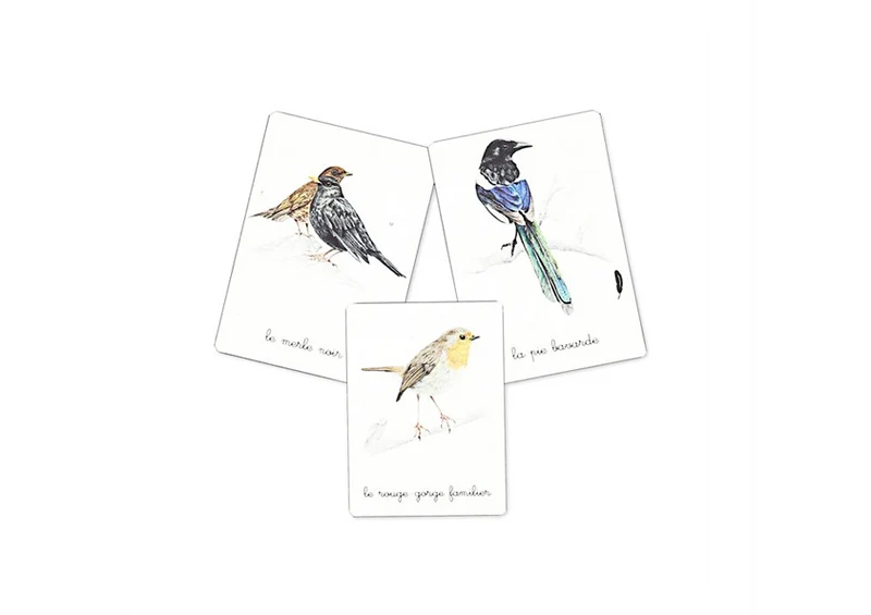 Mon coffret Montessori des oiseaux -Nathan