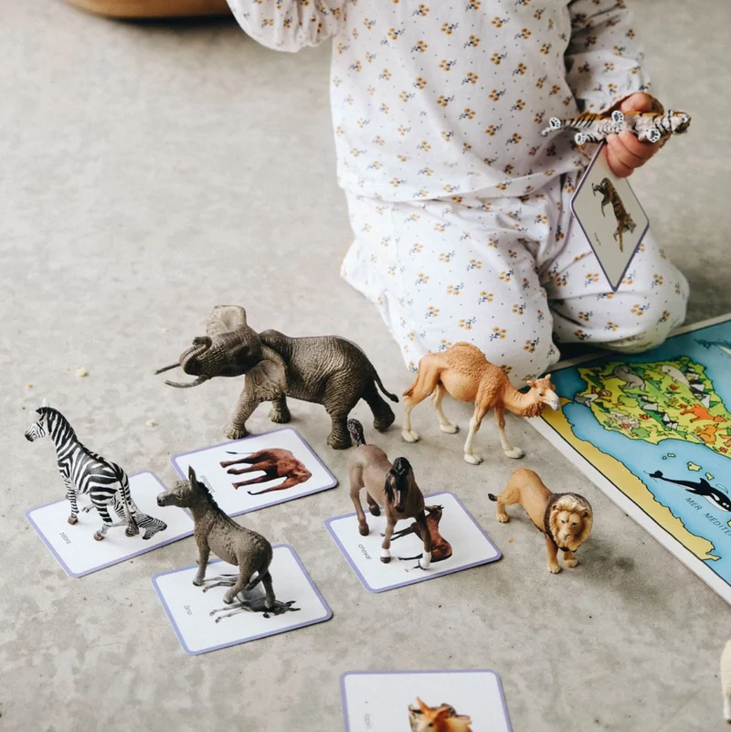 Giga Mondy, cartes de nomenclature Montessori -Observe Montessori