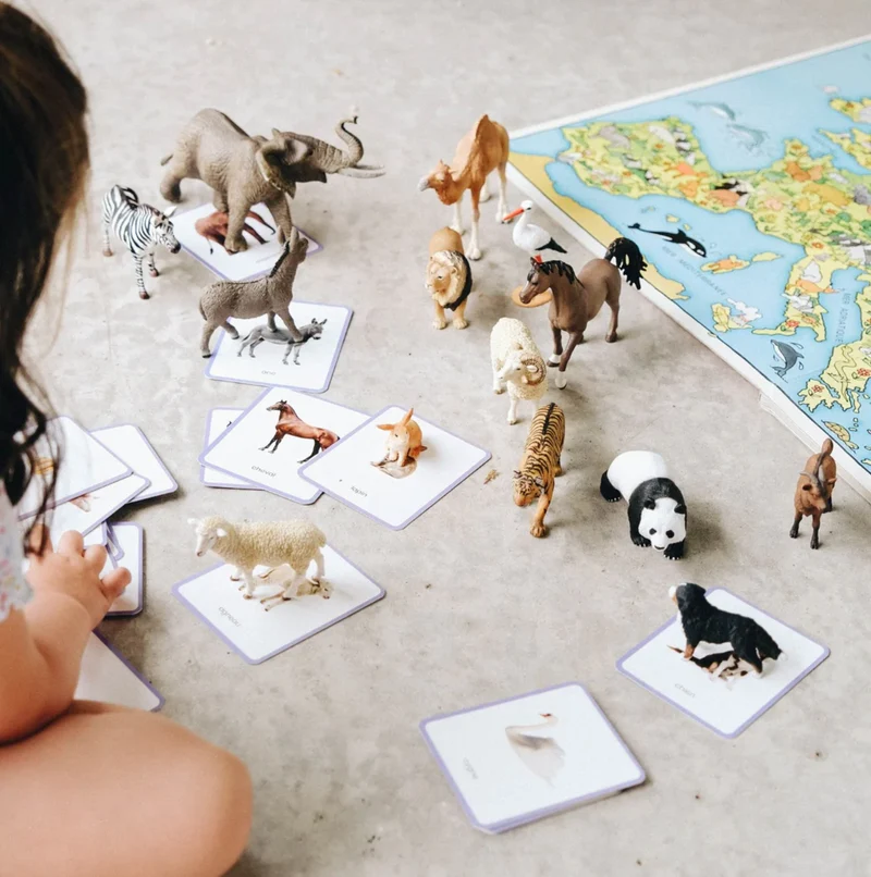 Giga Mondy, cartes de nomenclature Montessori -Observe Montessori
