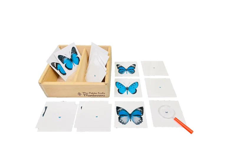 Coffret cartes les papillons et la loupe