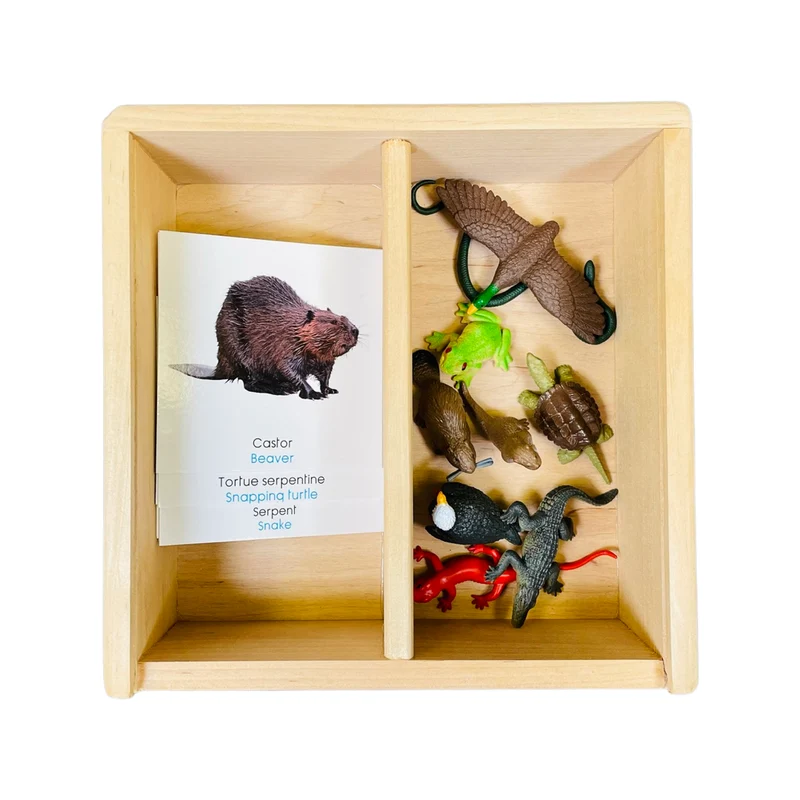 Coffret figurines les animaux de la rivière