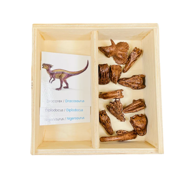 Coffret figurines les dinosaures