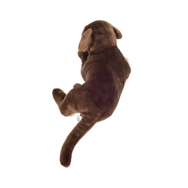 Peluche Labrador Marron Chocolat Couché