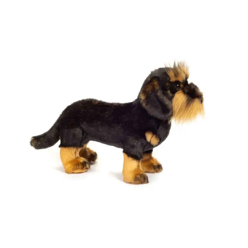 Peluche Teckel à poil dur debout