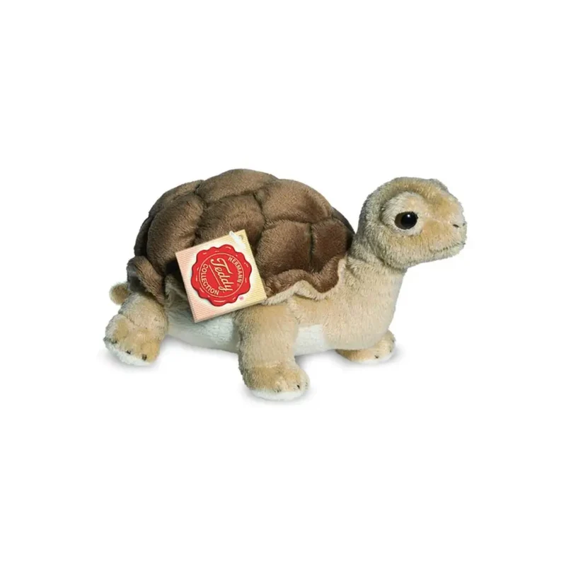 Peluche Tortue