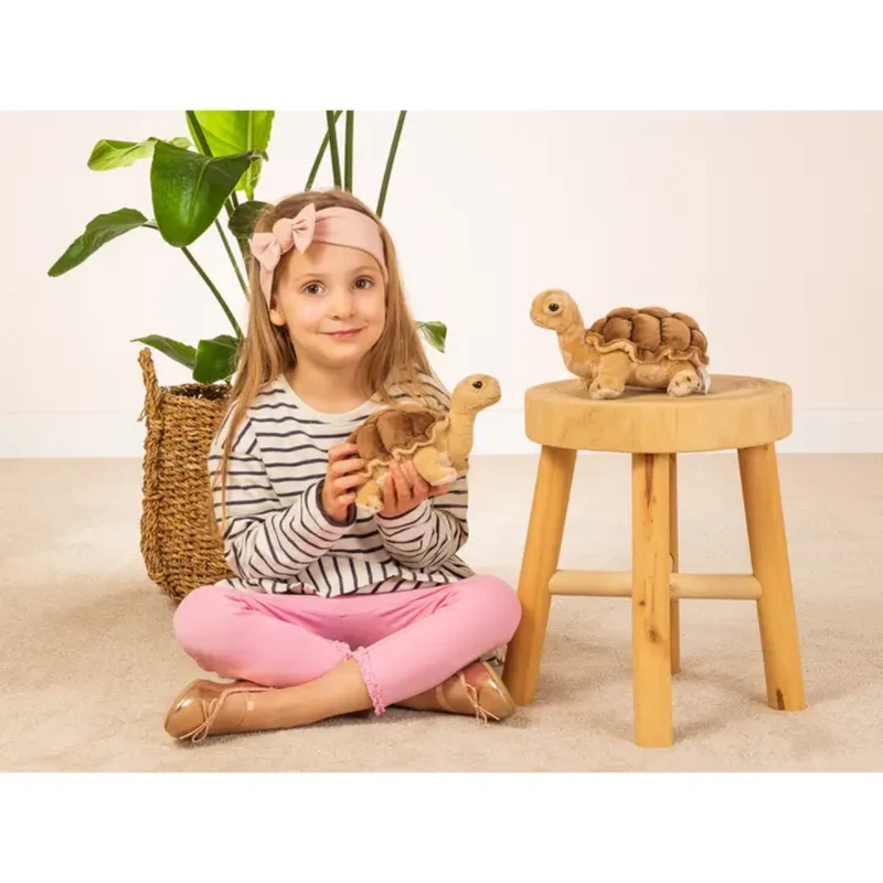 Peluche Tortue