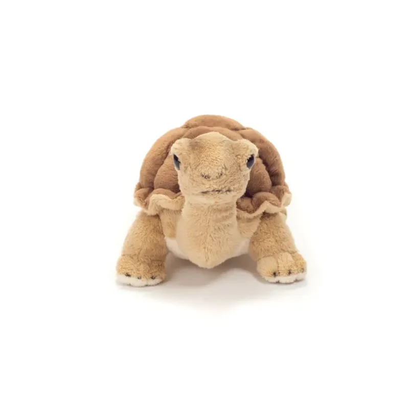 Peluche Tortue