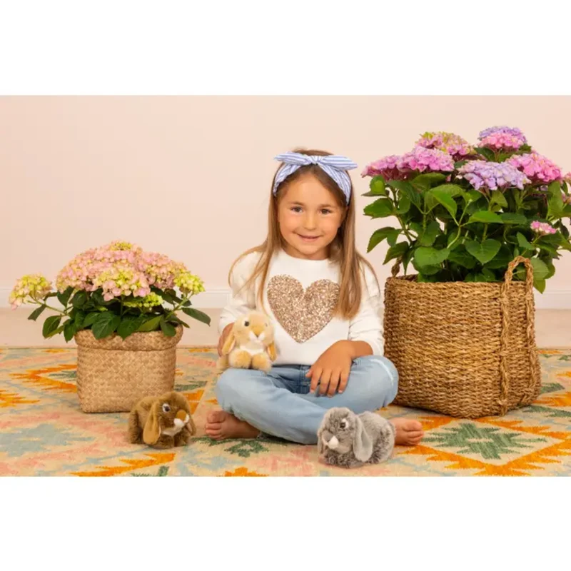 Peluche Lapin Bélier Gris