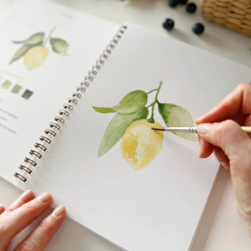 Carnet d'aquarelle - Fruit