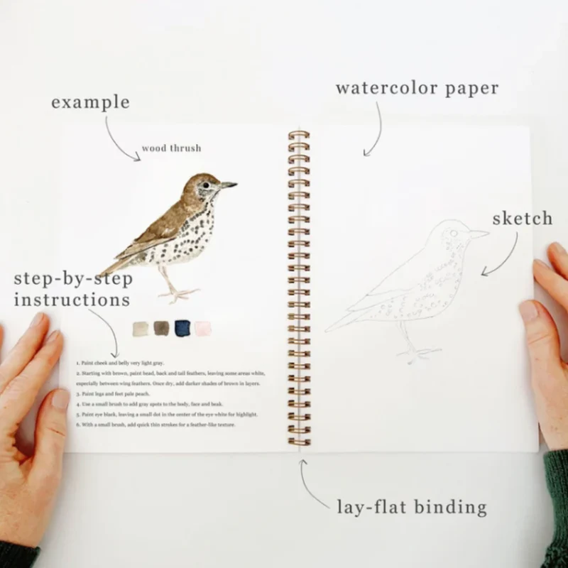 Carnet d'aquarelle - Birds