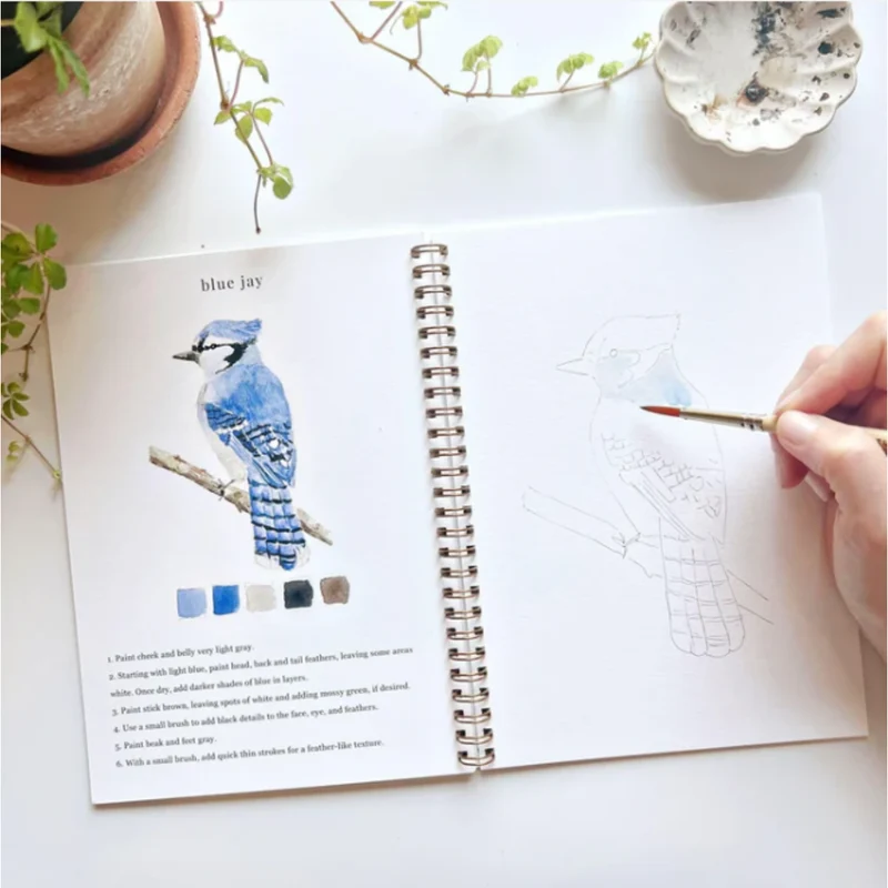 Carnet d'aquarelle - Birds