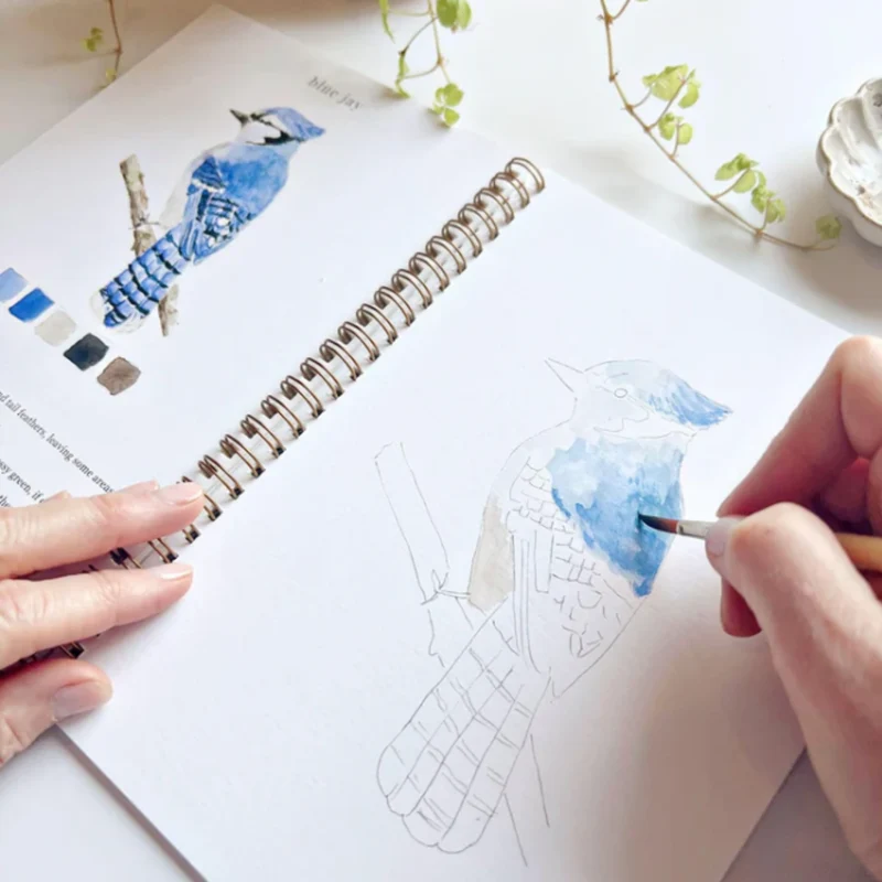 Carnet d'aquarelle - Birds