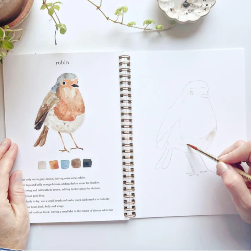 Carnet d'aquarelle - Birds