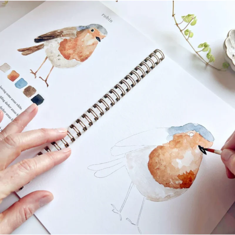 Carnet d'aquarelle - Birds