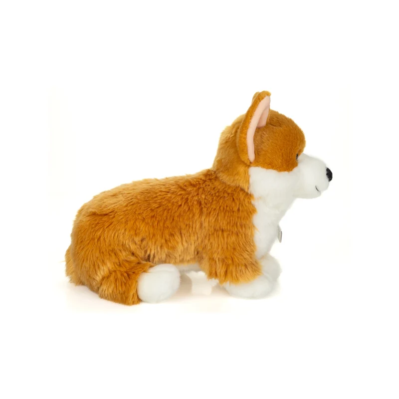 Peluche Corgi