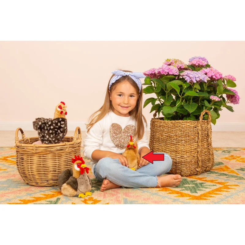 Peluche Poule marron