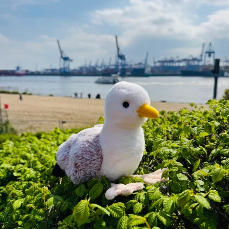 Peluche Mouette