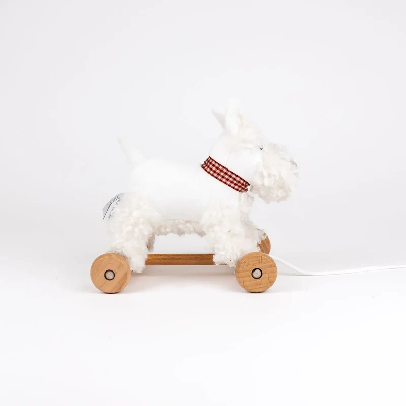 Lola -le Chien à Tirer - 1 an+
