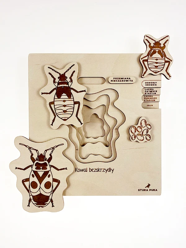 Puzzle Cycle de vie du Gendarme