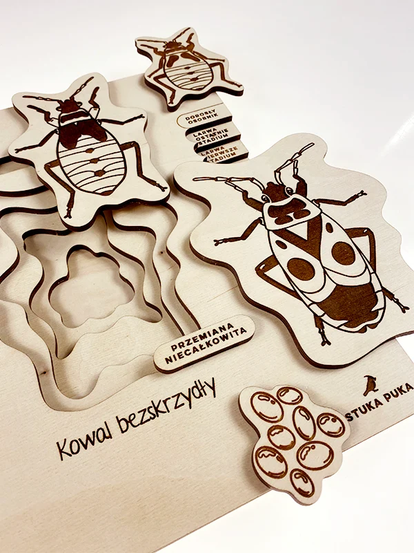 Puzzle Cycle de vie du Gendarme
