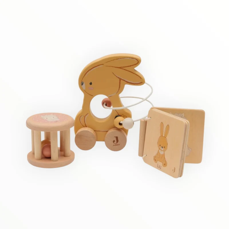 Coffret de jeux d'éveil | Lapin