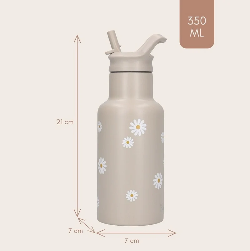 Gourde | Marguerites