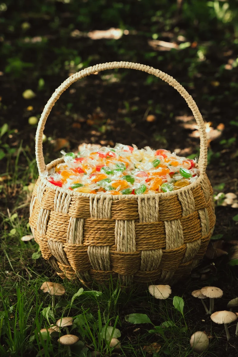 Harvest Checker Treat Basket – Large
