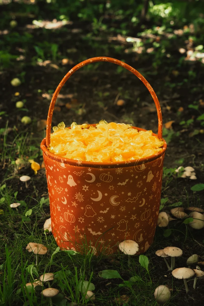 Spooky Meadow Fabric Treat Basket – Medium