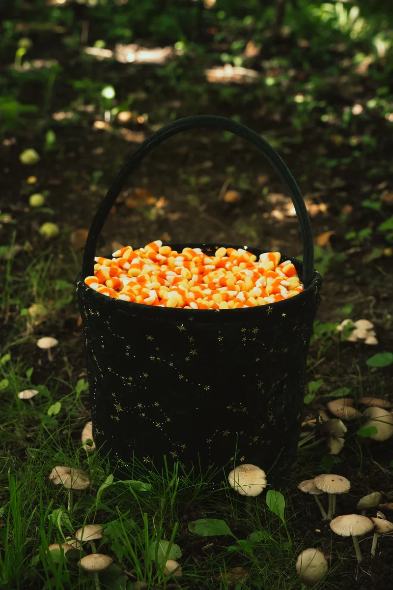 Midnight Velvet Treat Basket – Medium