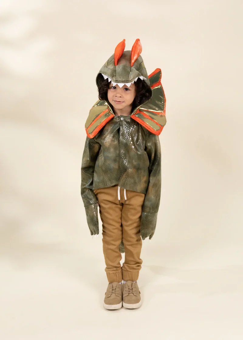 Dinosaur Play Costume Cape
