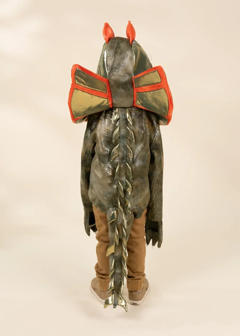 Dinosaur Play Costume Cape