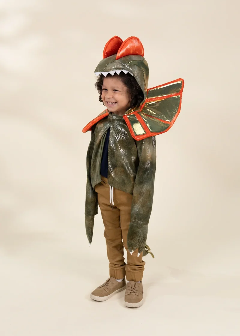 Dinosaur Play Costume Cape