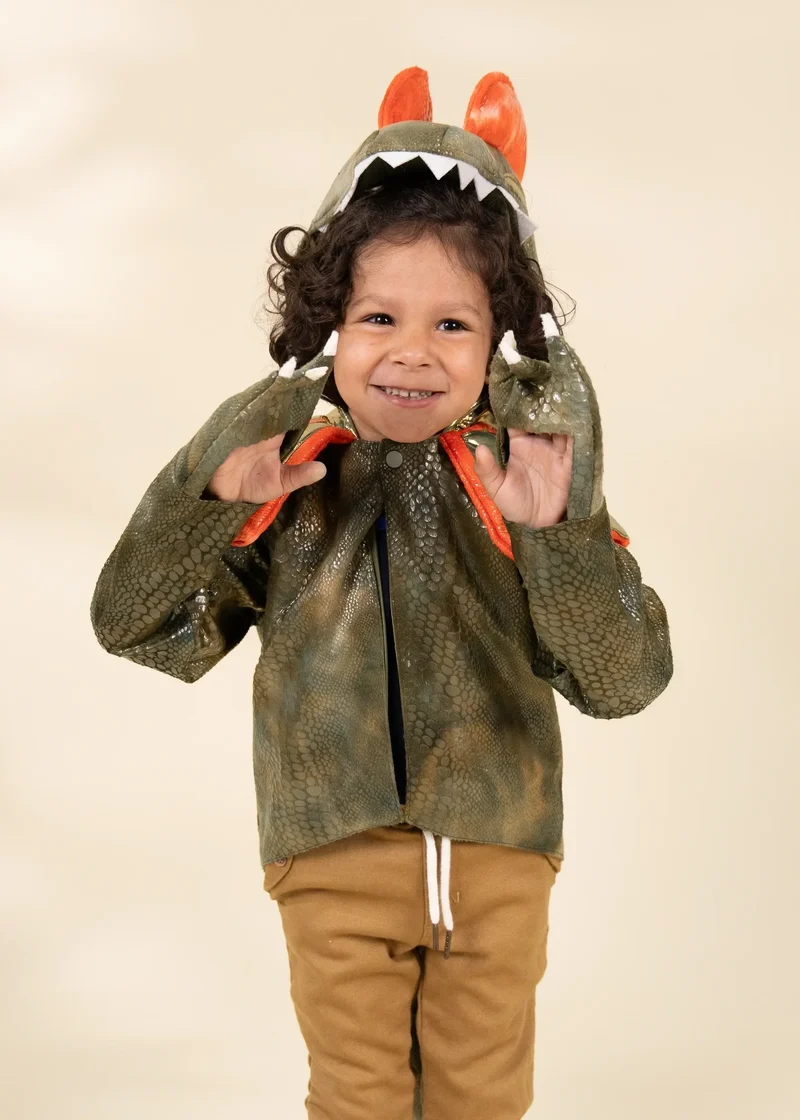 Dinosaur Play Costume Cape