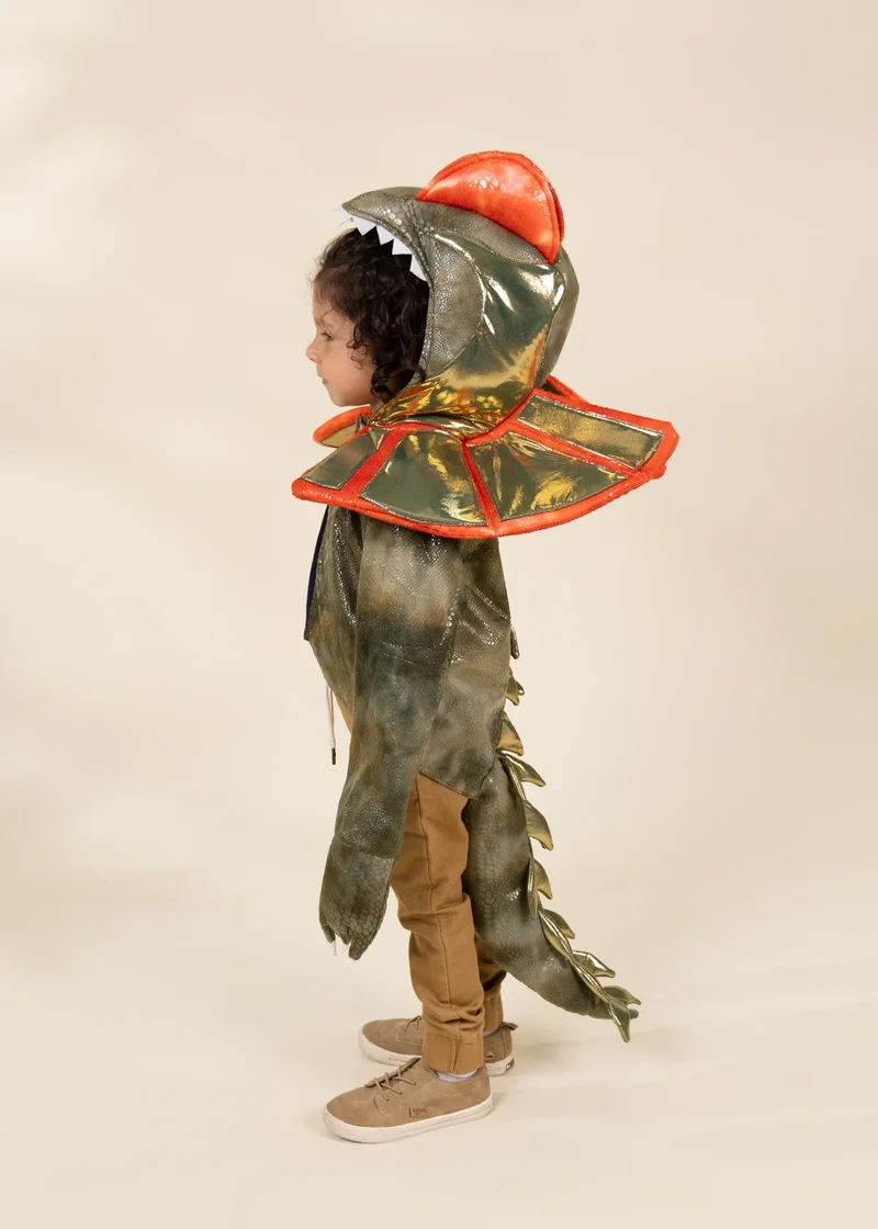 Dinosaur Play Costume Cape