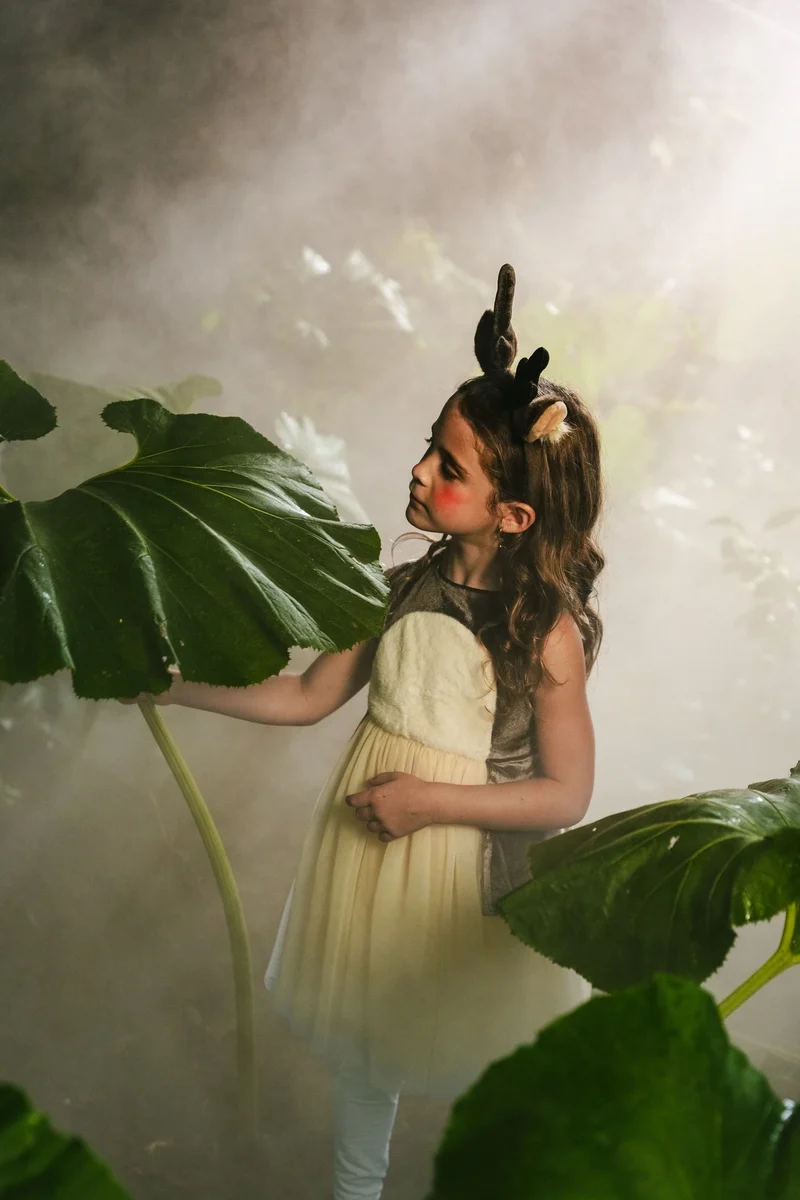 Role Play Dress-Up Cotton and Tulle Animal Dress