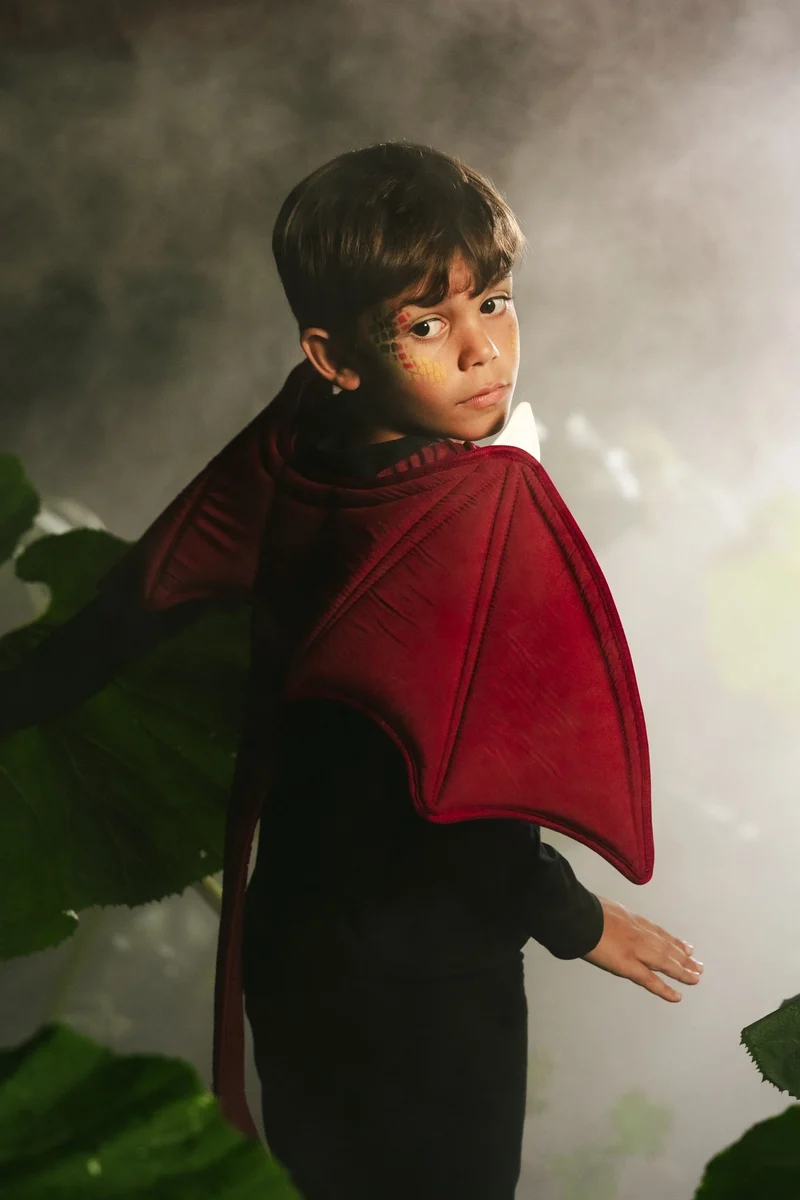 Role Play Dress-Up Quilted Dragon Wings