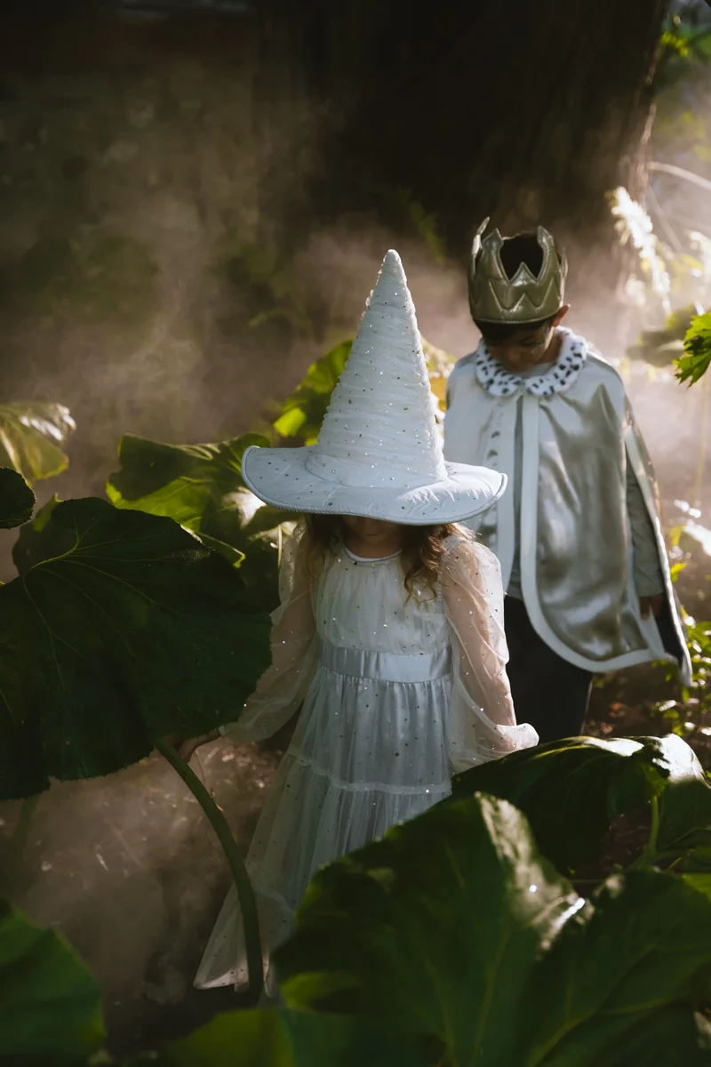Role Play Dress-Up King Cape with Crown