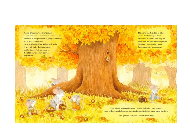 Livre | Automne câlin