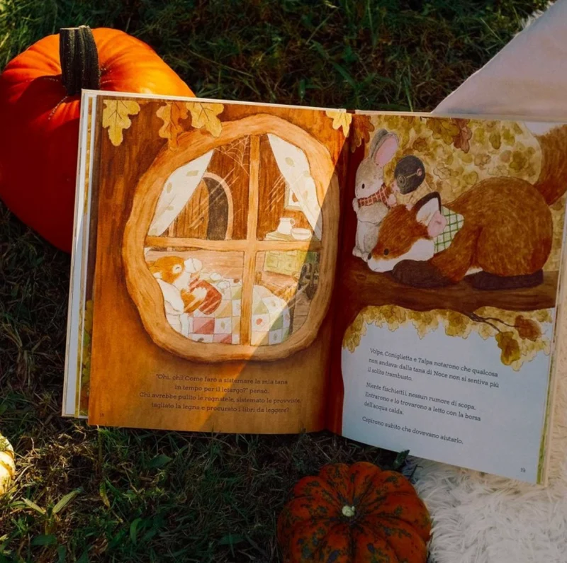 Livre | Automne câlin