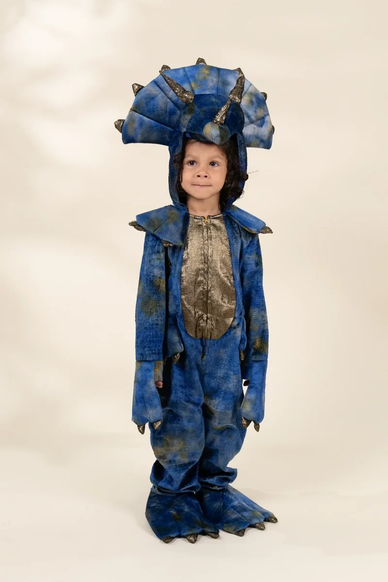 Dinosaur Play Costume