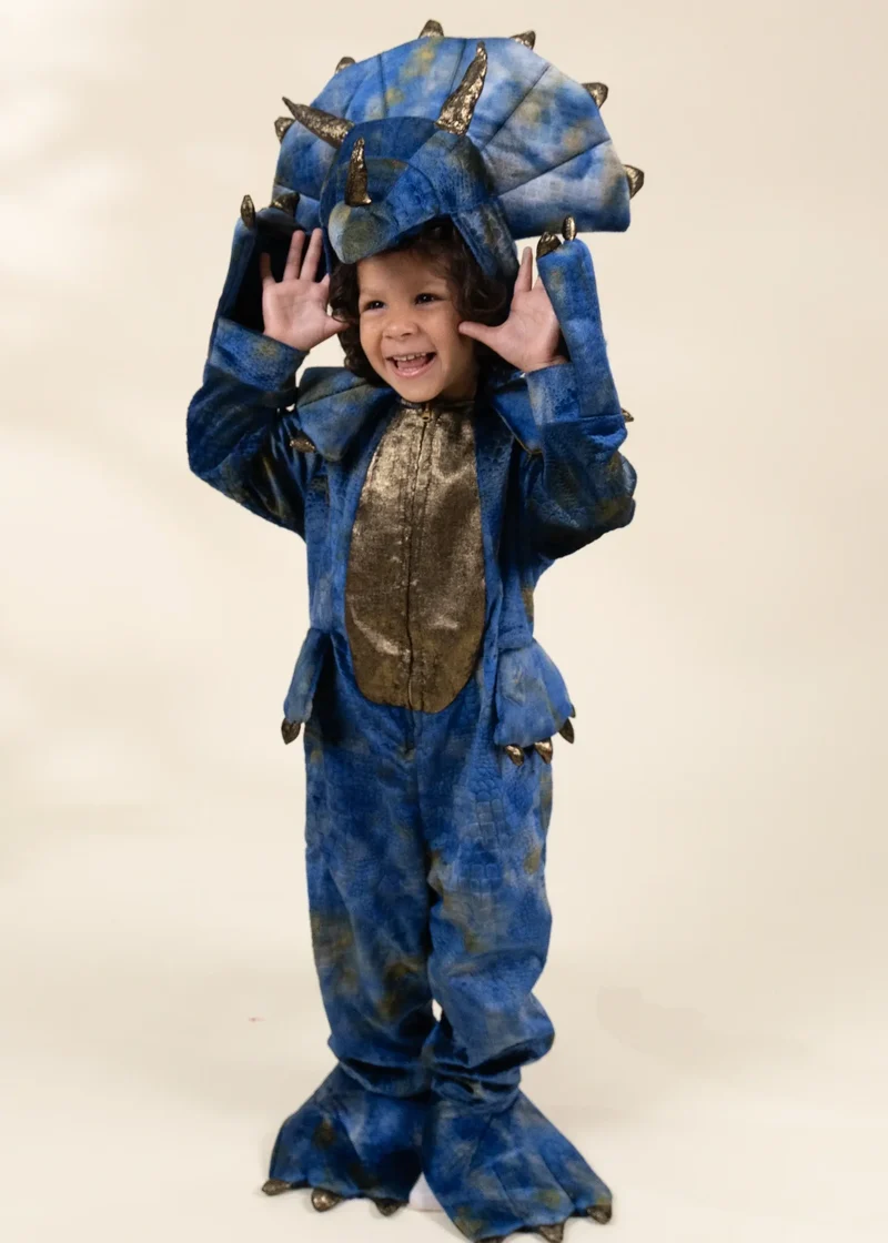Dinosaur Play Costume