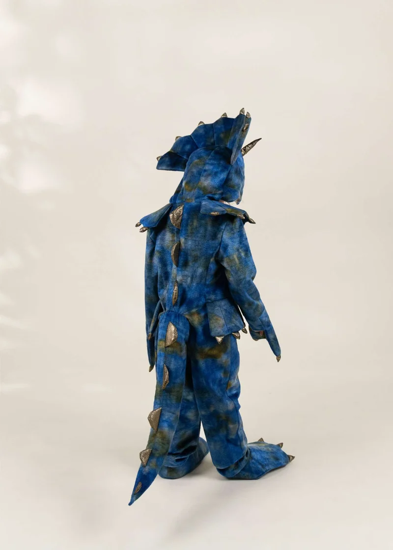 Dinosaur Play Costume