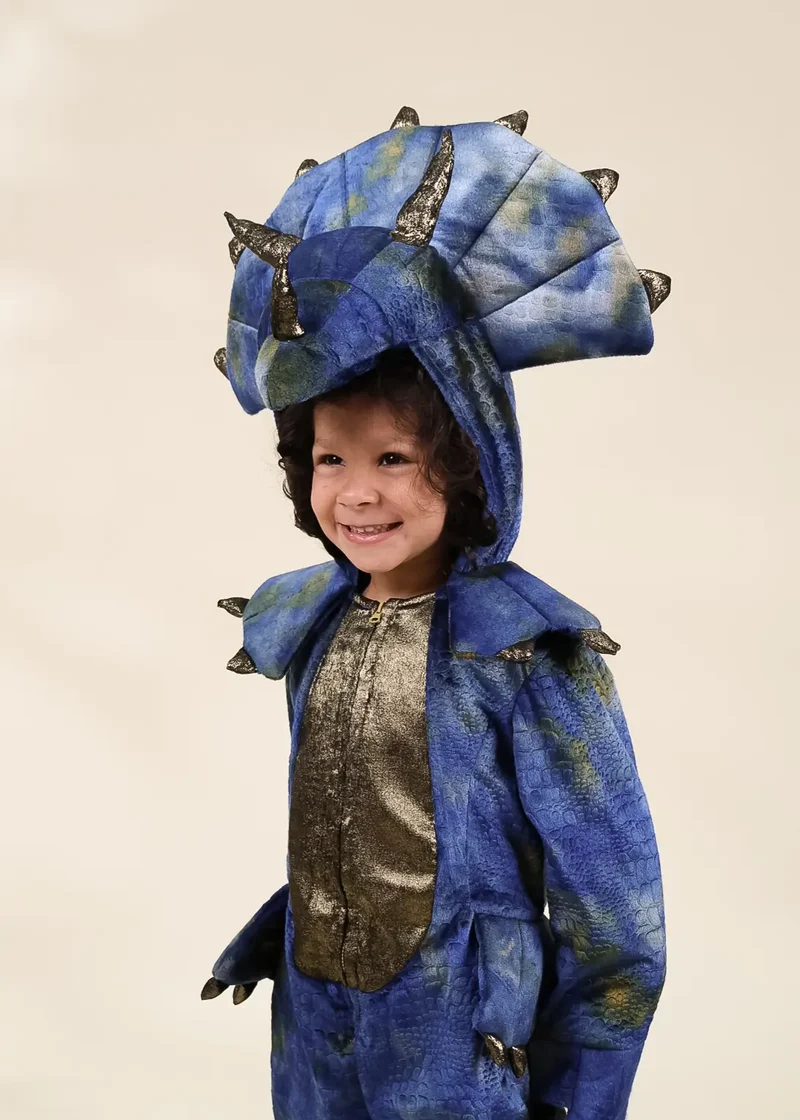 Dinosaur Play Costume