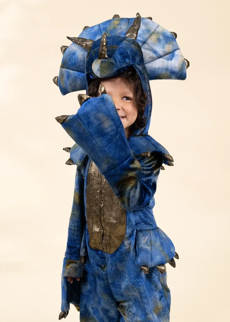 Dinosaur Play Costume