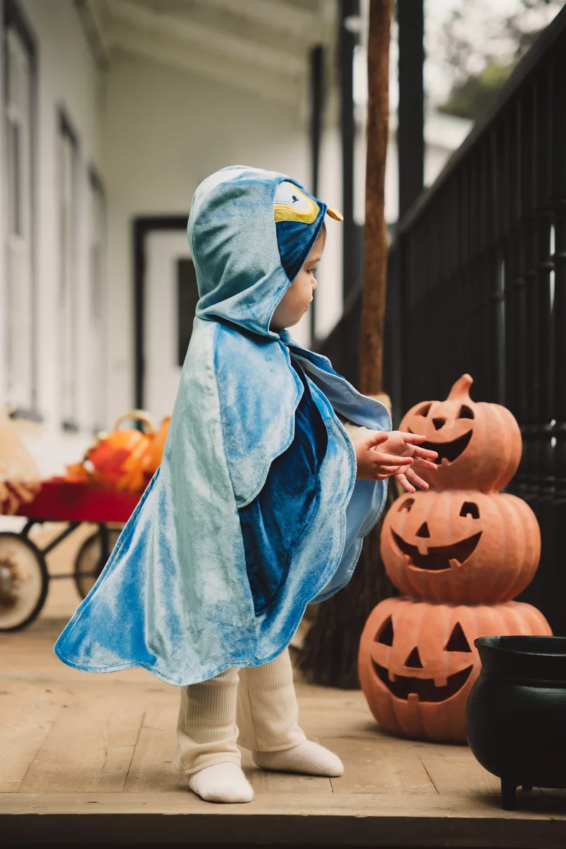 My First Bird Cape Costume