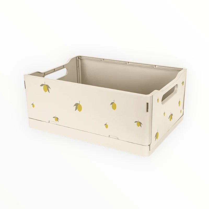Lot de 2 boîtes de rangement | Citron