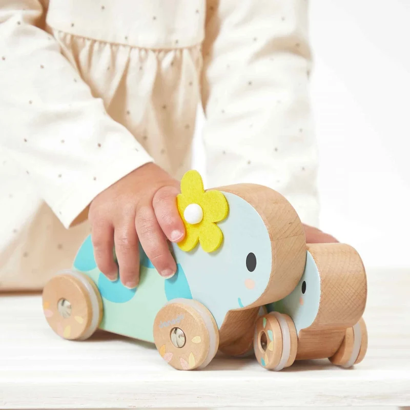 Janod - Set de 2 Tortues à pousser Pure 👶1 an+