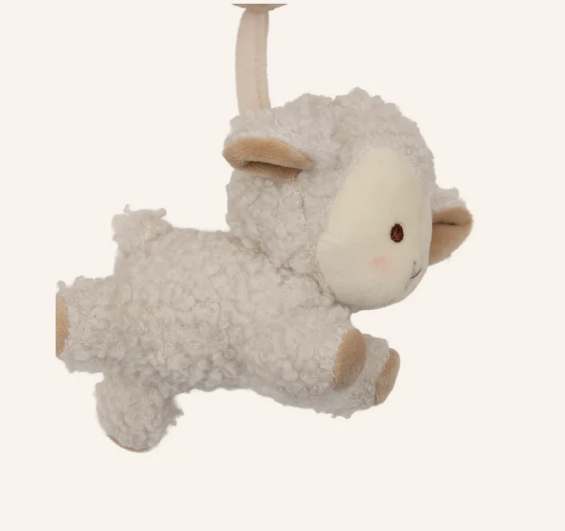 Spirale d'activités | Woolly